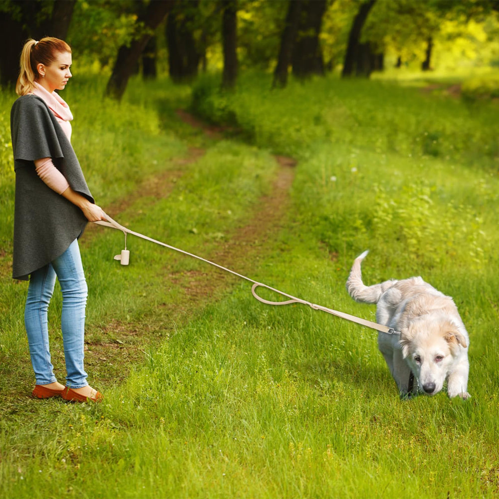Wisedog sand color leash ideal for outdoor daily use