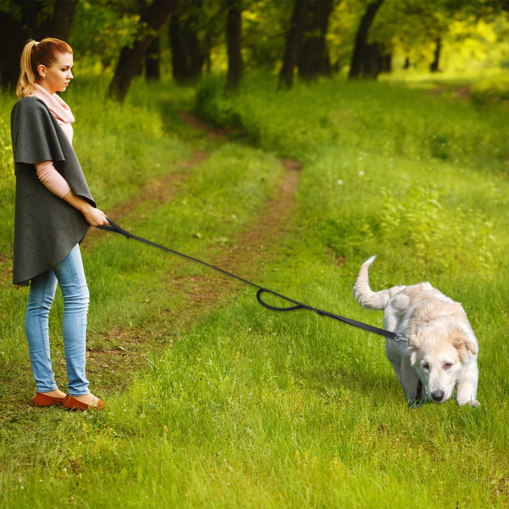 Wisedog classic black leash design highlighting sturdy construction and safety.