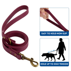 Wisedog waterproof collar and leash endure rain for reliable dog walks.