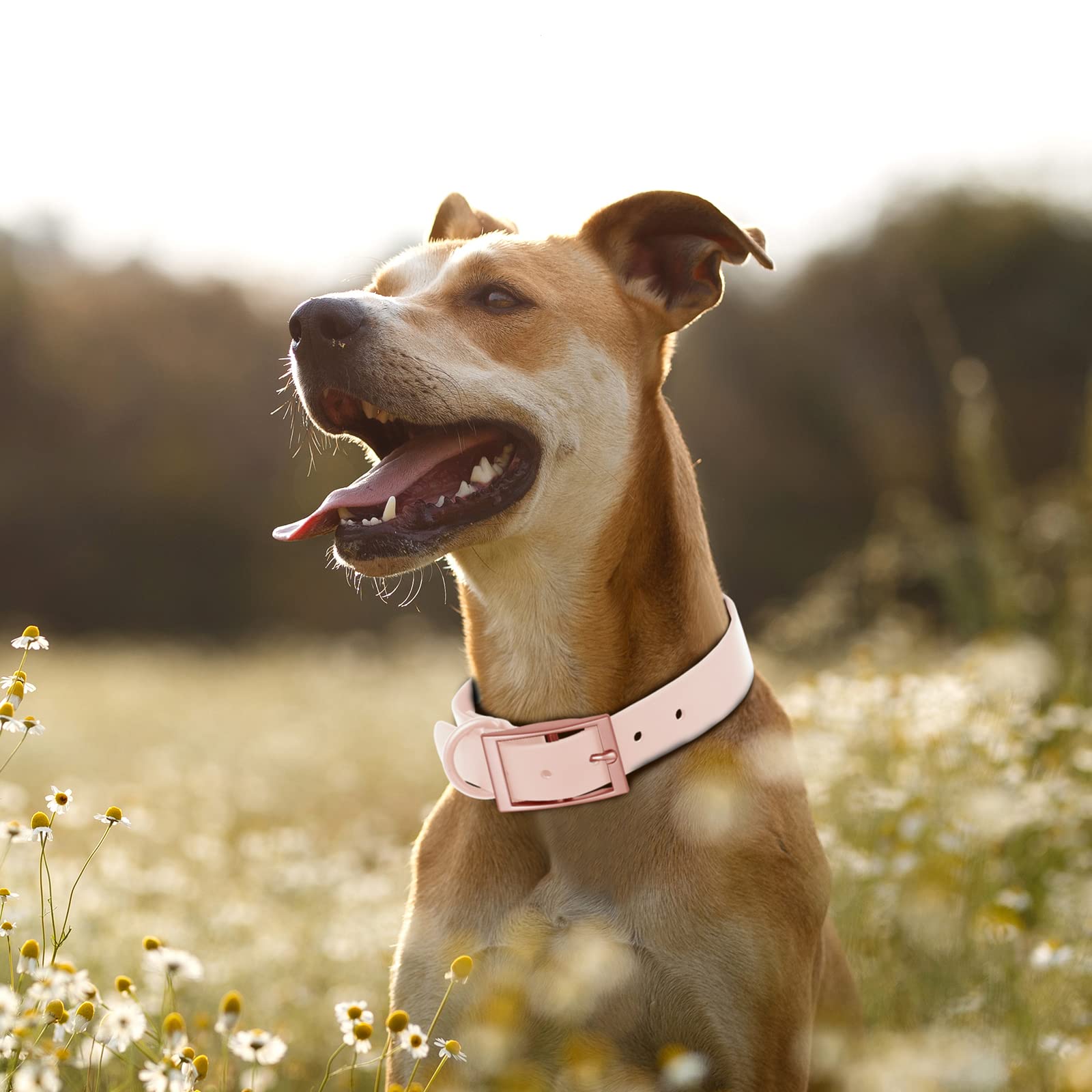Wisedog anti-rust pin clasps ensure durability during rain and adventures.
