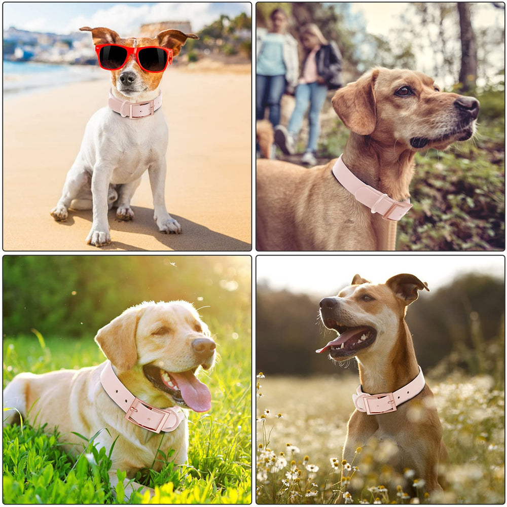 Wisedog measuring neck size guide helps ensure the right fit.