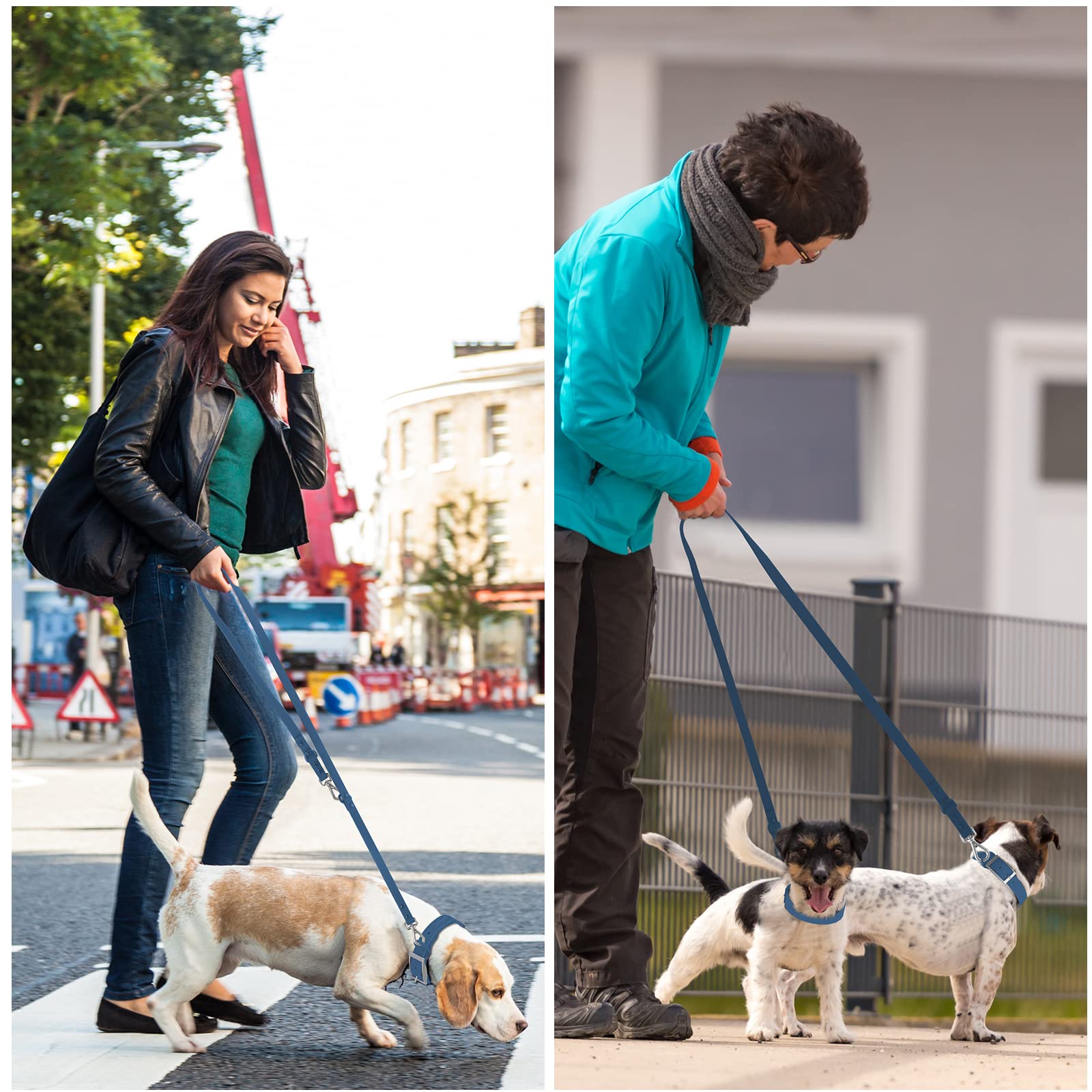 Wisedog Durable Waterproof Leash stands up to damp environments during adventures