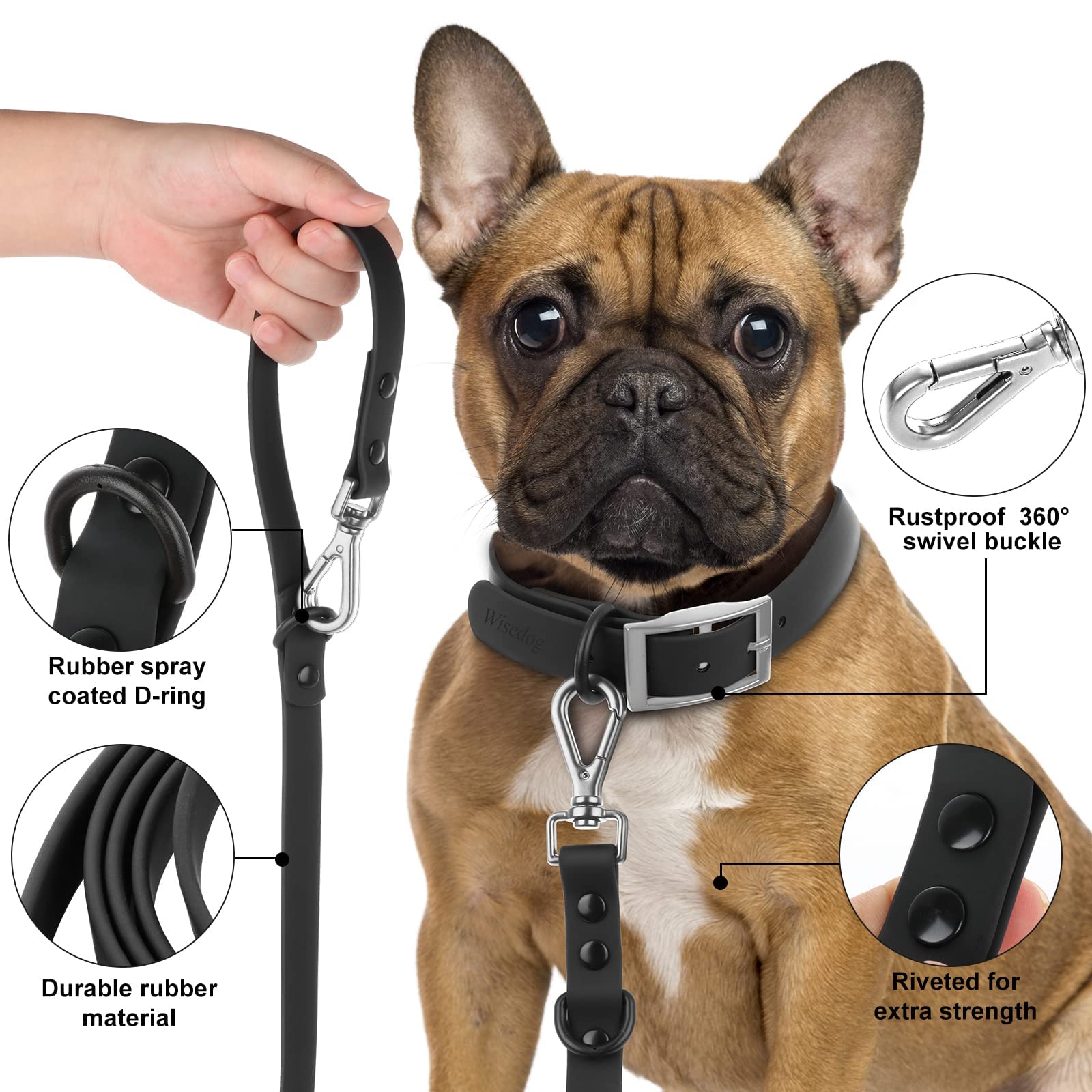 Wisedog odor-proof leash handles damp environments for daily use