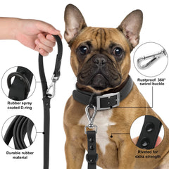 Wisedog odor-proof leash handles damp environments for daily use