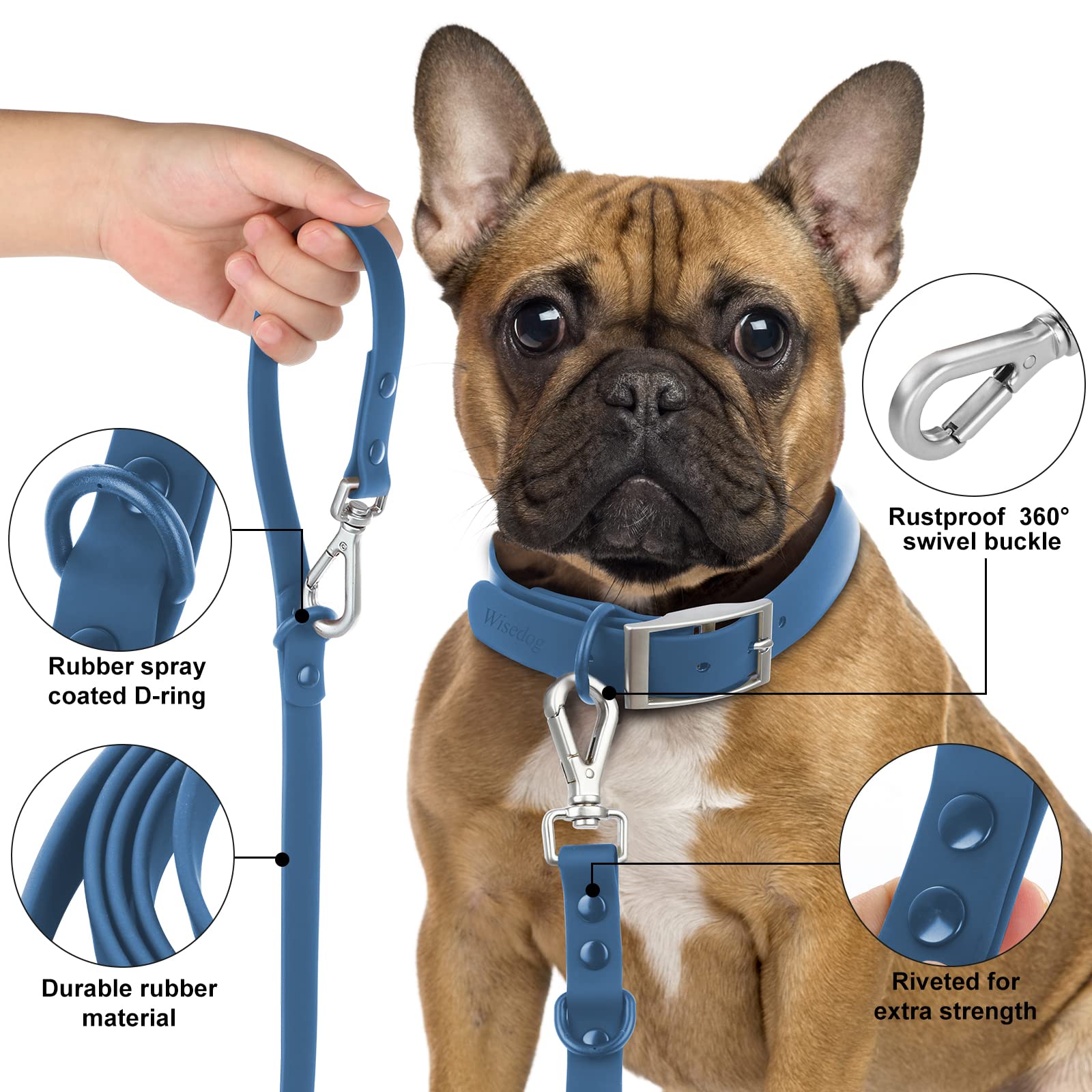 Wisedog PVC-coated leash resists moisture and odors for daily use