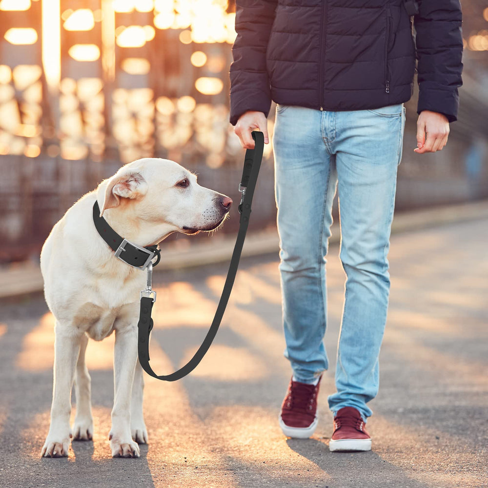 Wisedog soft, skin-friendly handle provides comfortable grip during walks