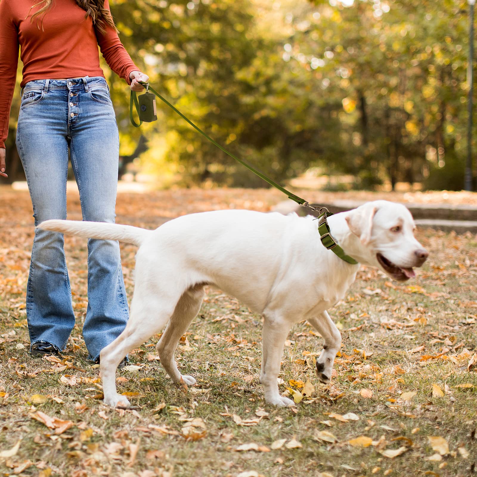Wisedog-waterproof-durability highlights waterproof materials for all seasons.