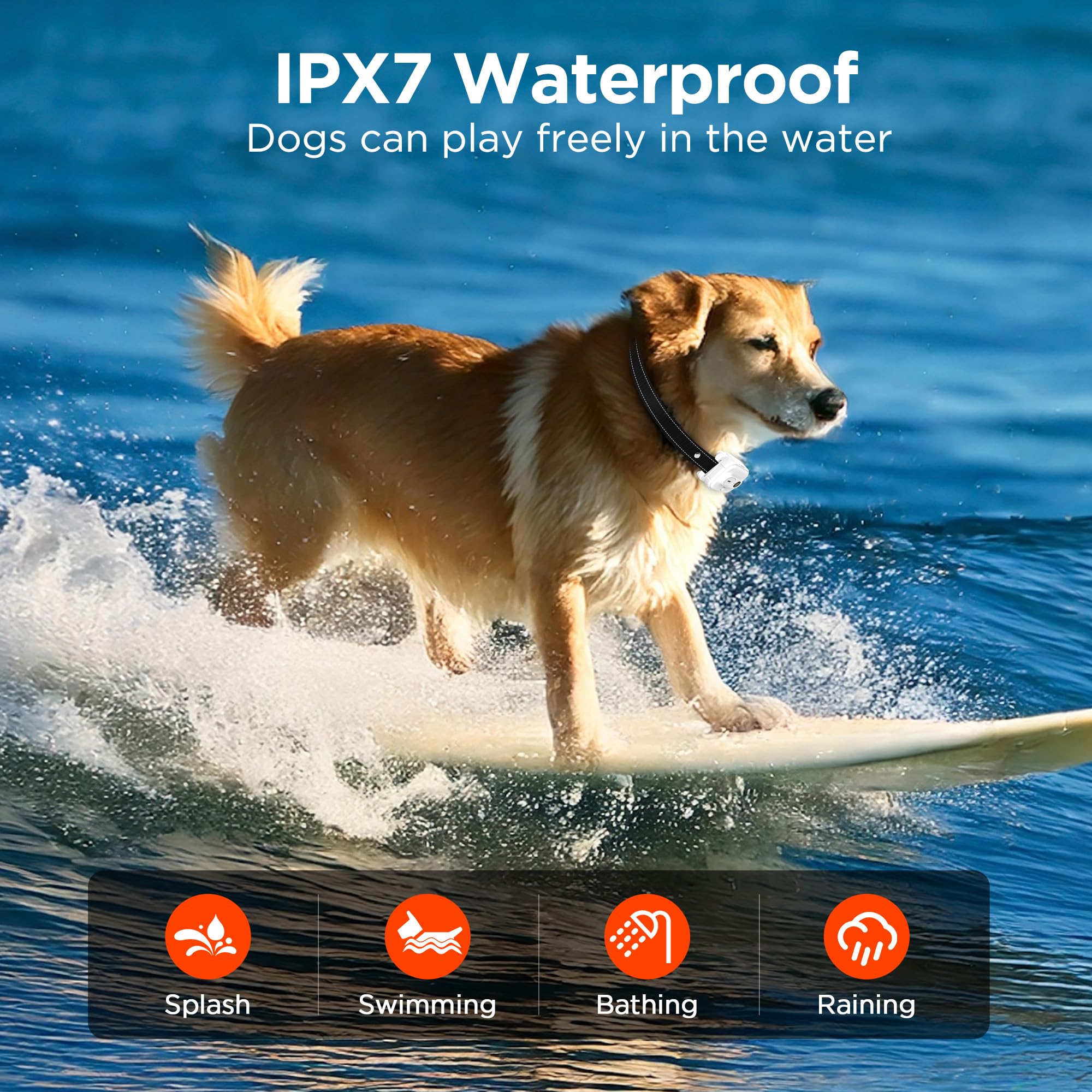 Wissilor IPX7 waterproof collar ready for all-weather outdoor use.