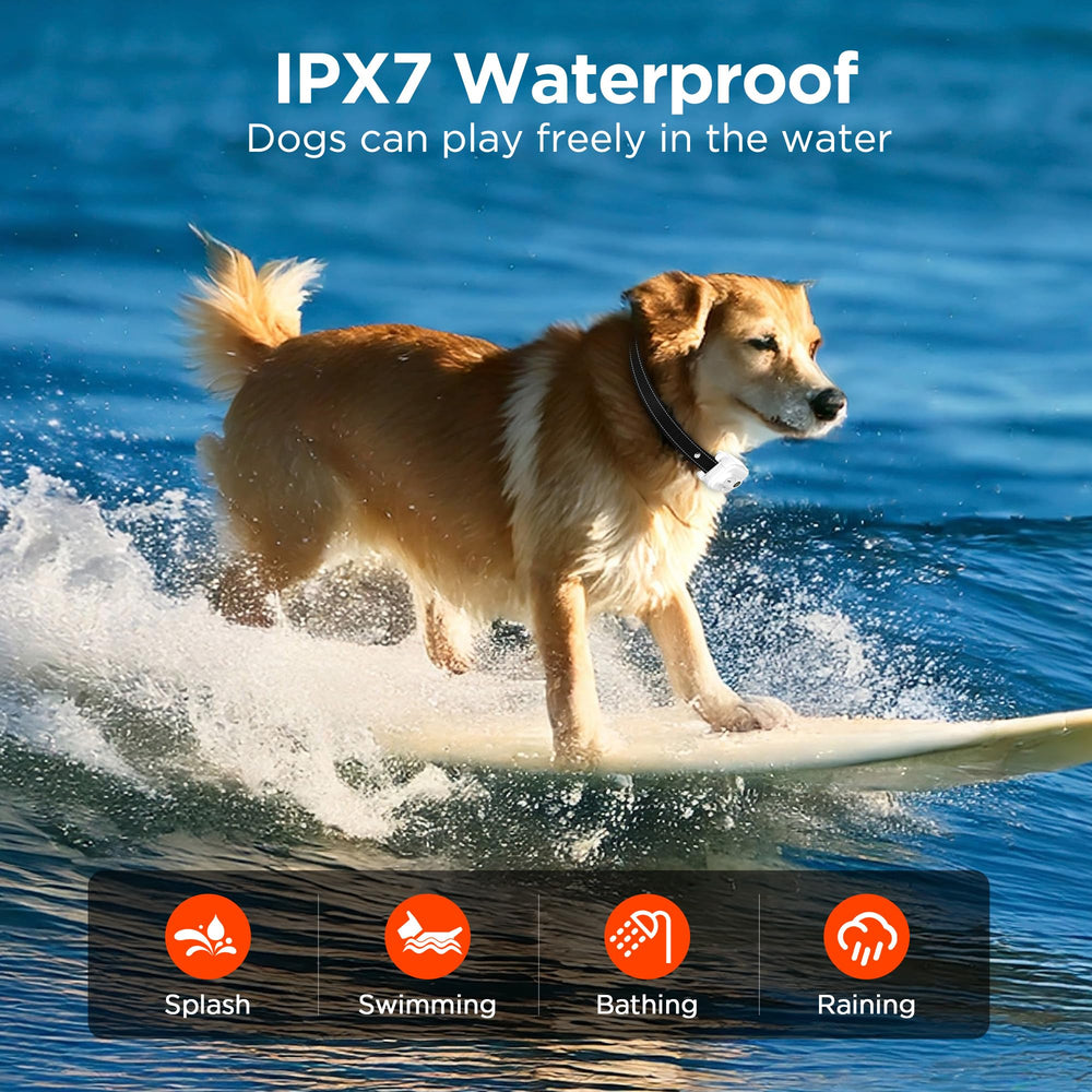 Wissilor IPX7 waterproof collar ready for all-weather outdoor use.