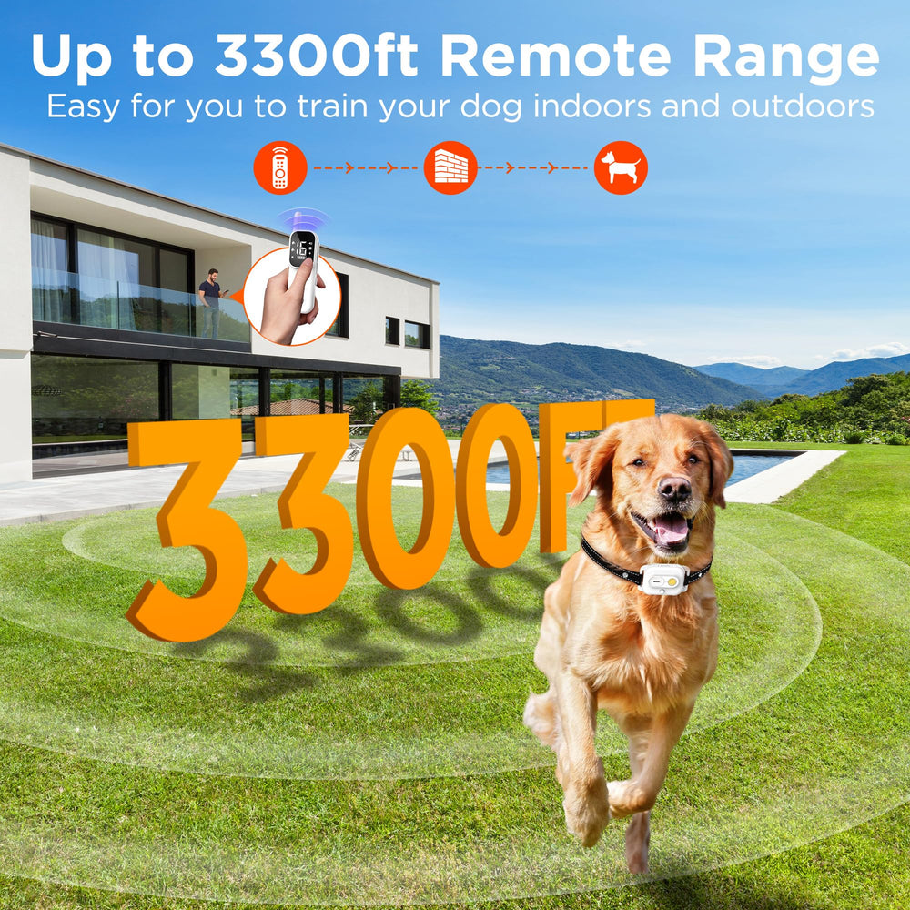 Wissilor remote transmitter for dual-channel training two dogs simultaneously.