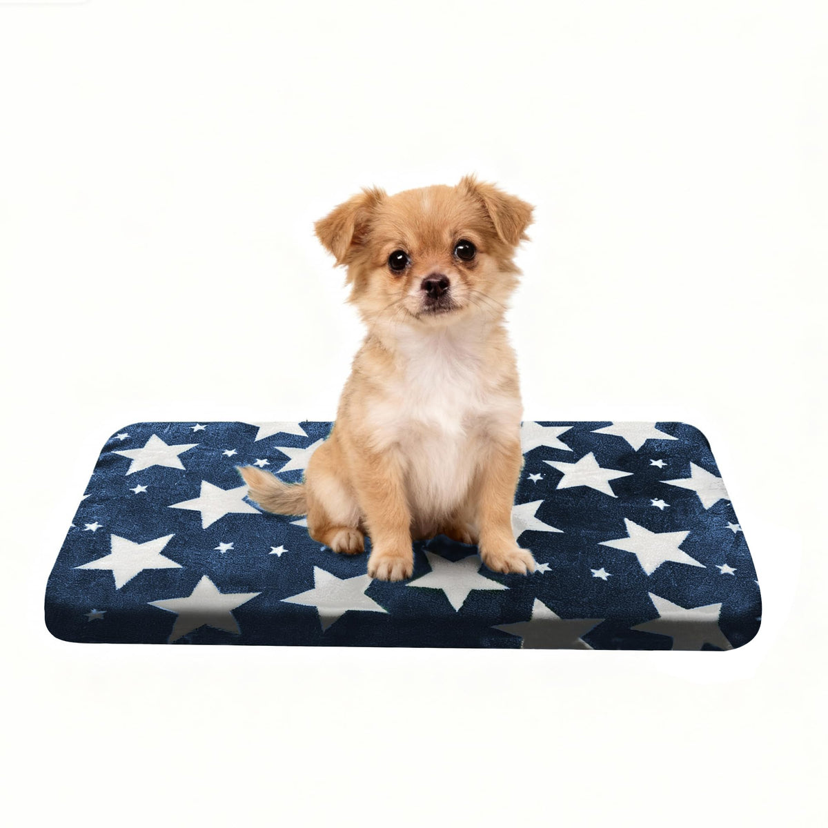 Cama Wittop lavable y ortopédica para perros grandes, ideal para descanso con soporte.