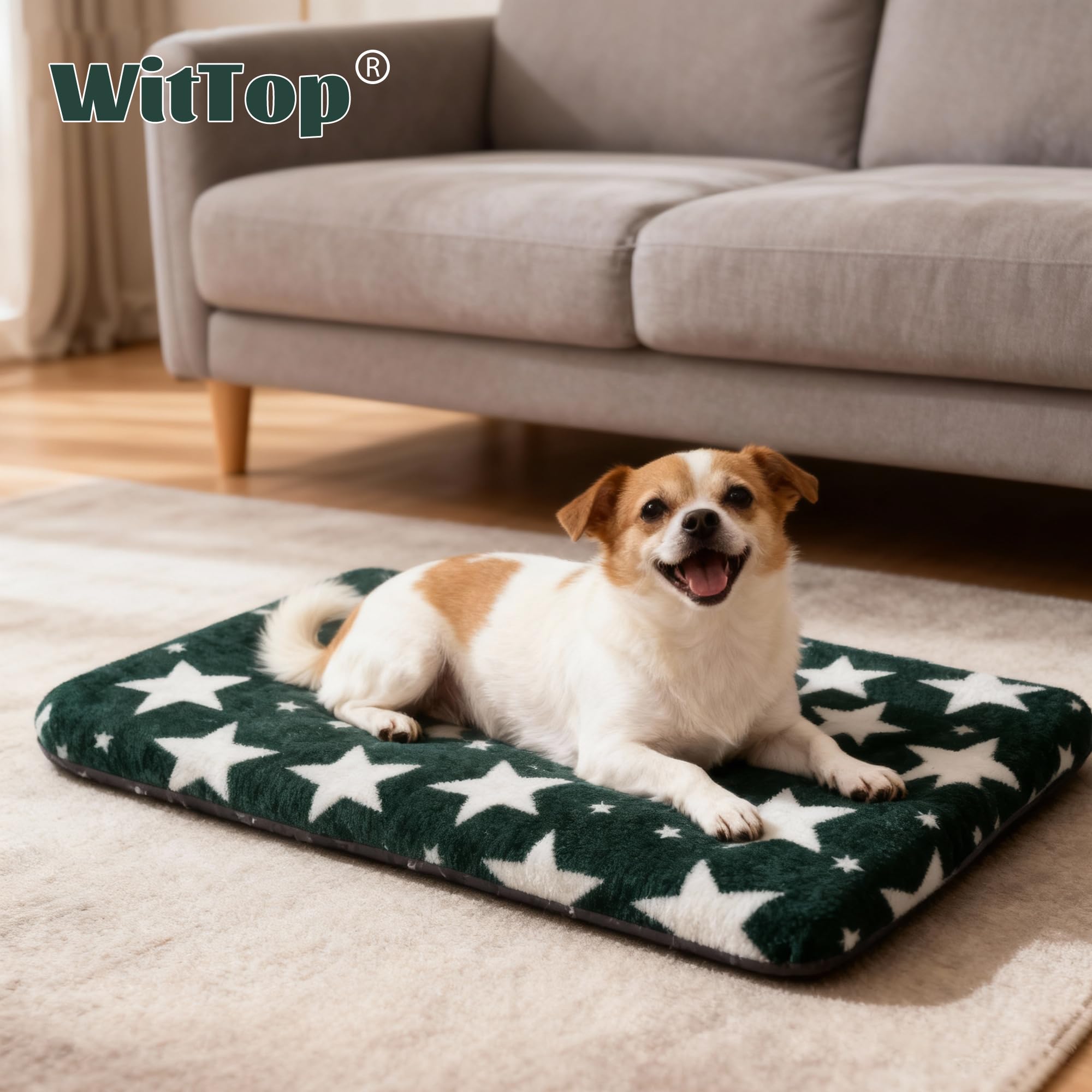 Materiales duraderos y lavables a máquina, Wittop cama para mascotas.