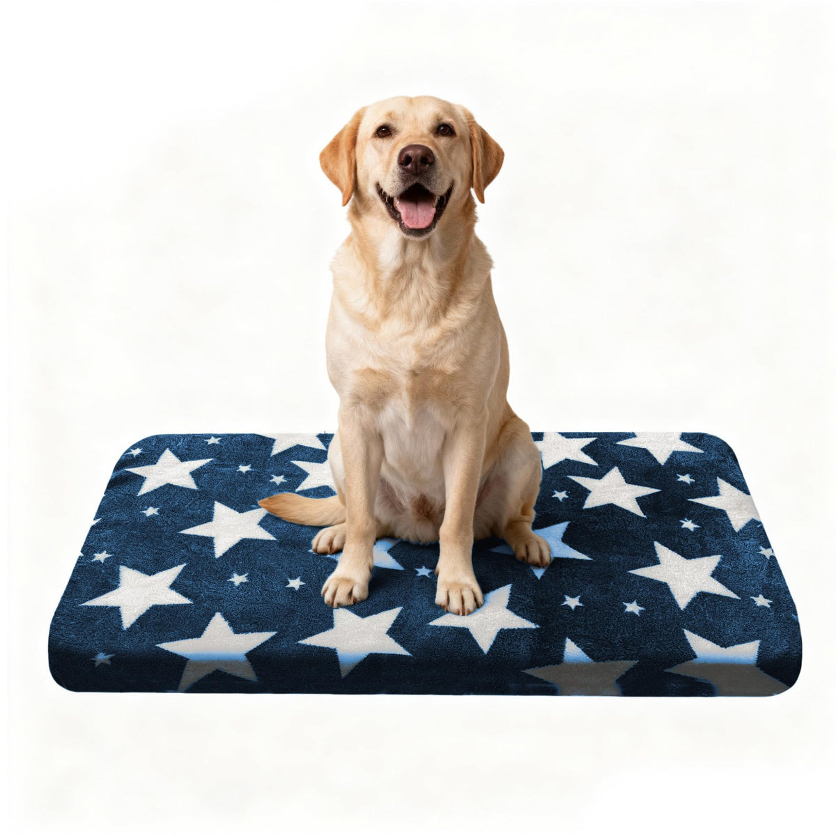 Wittop washables dog bed blue top view highlights crate comfort with ample 36x24 sizing.