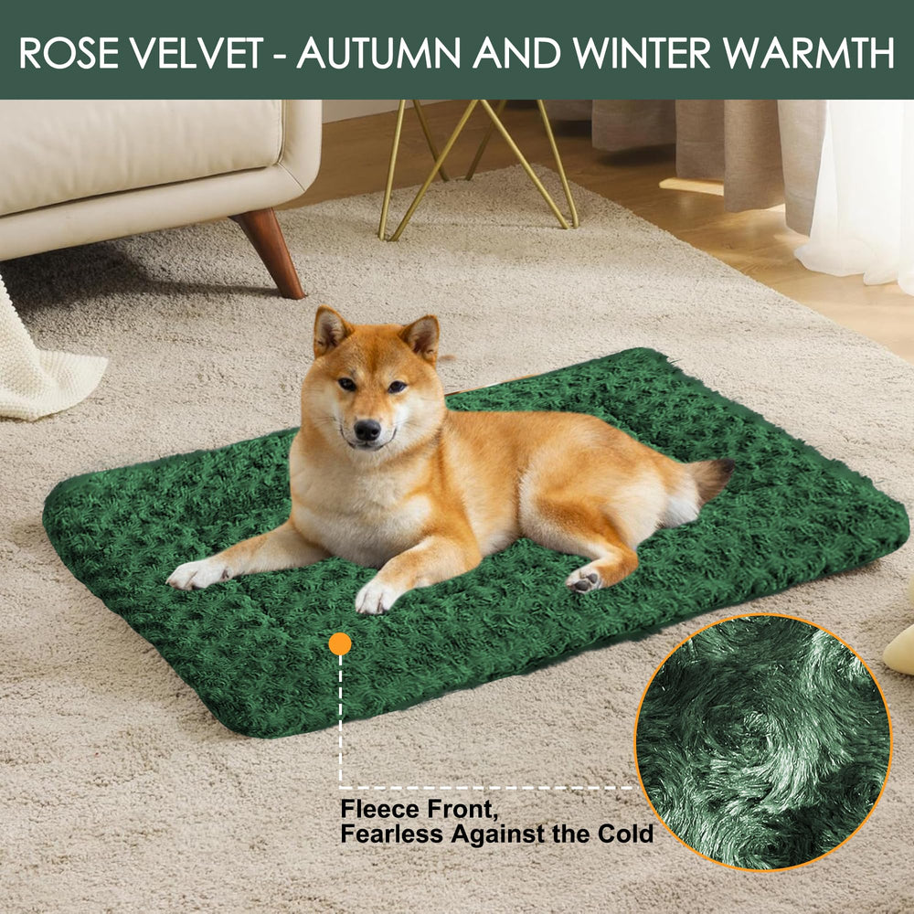 Wittop durable fabric withstands daily use and washing