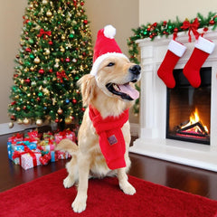 Wiz BBQT Christmas dog outfit for party or photo shoot.