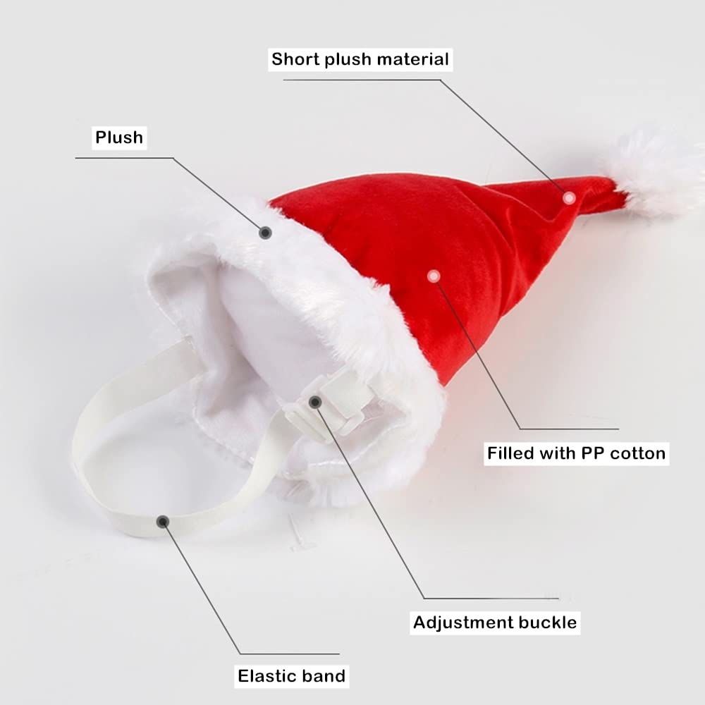 Wiz BBQT holiday-ready dog look for family gatherings.