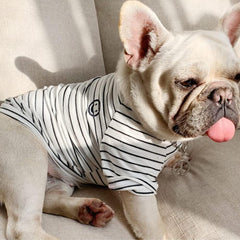 Wiz BBQT striped dog shirt closeup highlighting the cute smile pattern