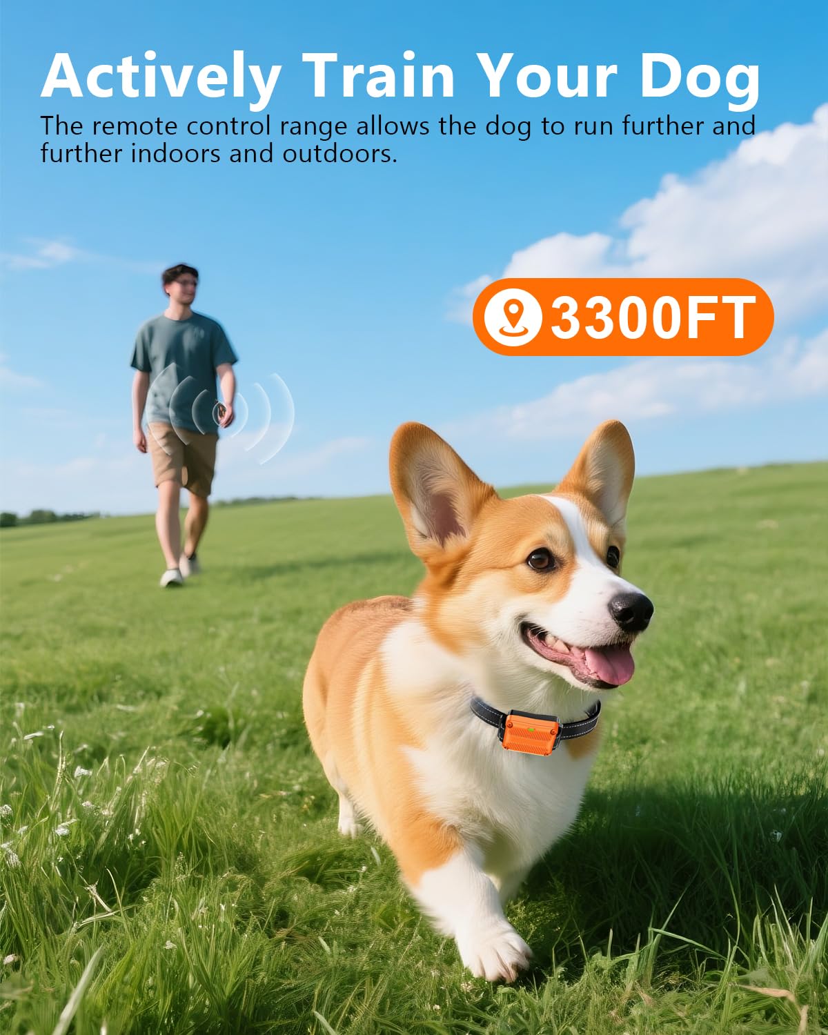 WLLNEE dog shock collar three-channel training with multiple dogs