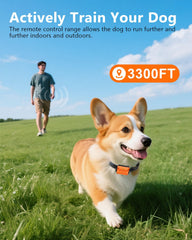 WLLNEE dog shock collar three-channel training with multiple dogs
