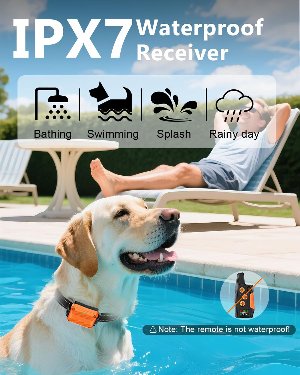 WLLNEE IPX7 waterproof receiver on dog collar during rain or splashes