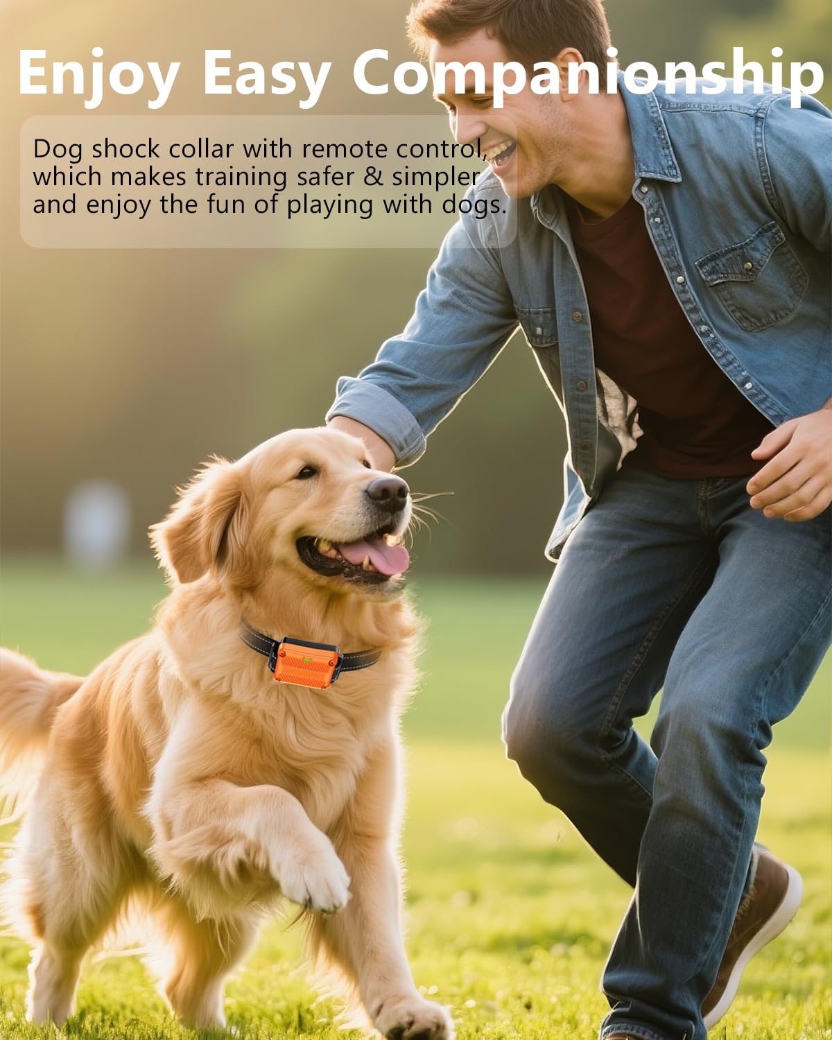 WLLNEE dog shock collar USB charging for quick power ups
