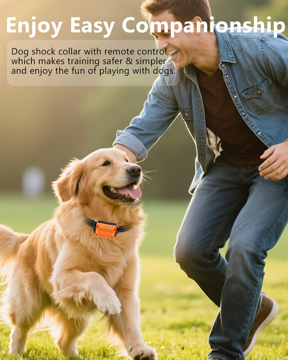 WLLNEE dog shock collar USB charging for quick power ups