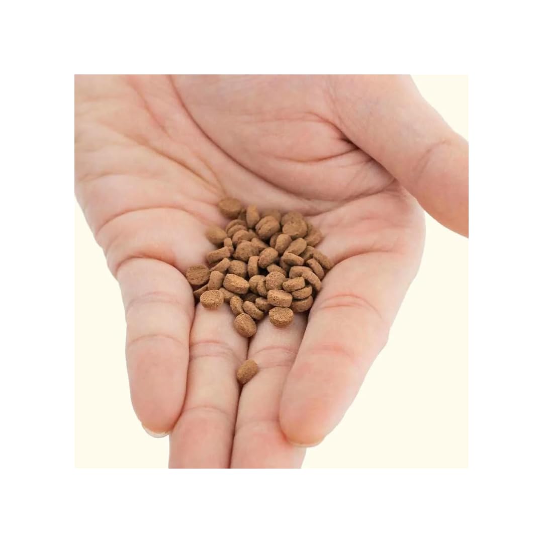 Pellets sinking to tank bottom supporting bottom-dwelling invertebrates and fish