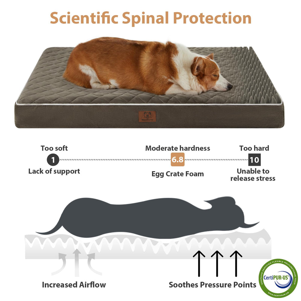 WNPETHOME detachable washable cover—easy cleaning and hygienic space for pets.