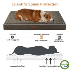 WNPETHOME detachable washable cover—easy cleaning and hygienic space for pets.