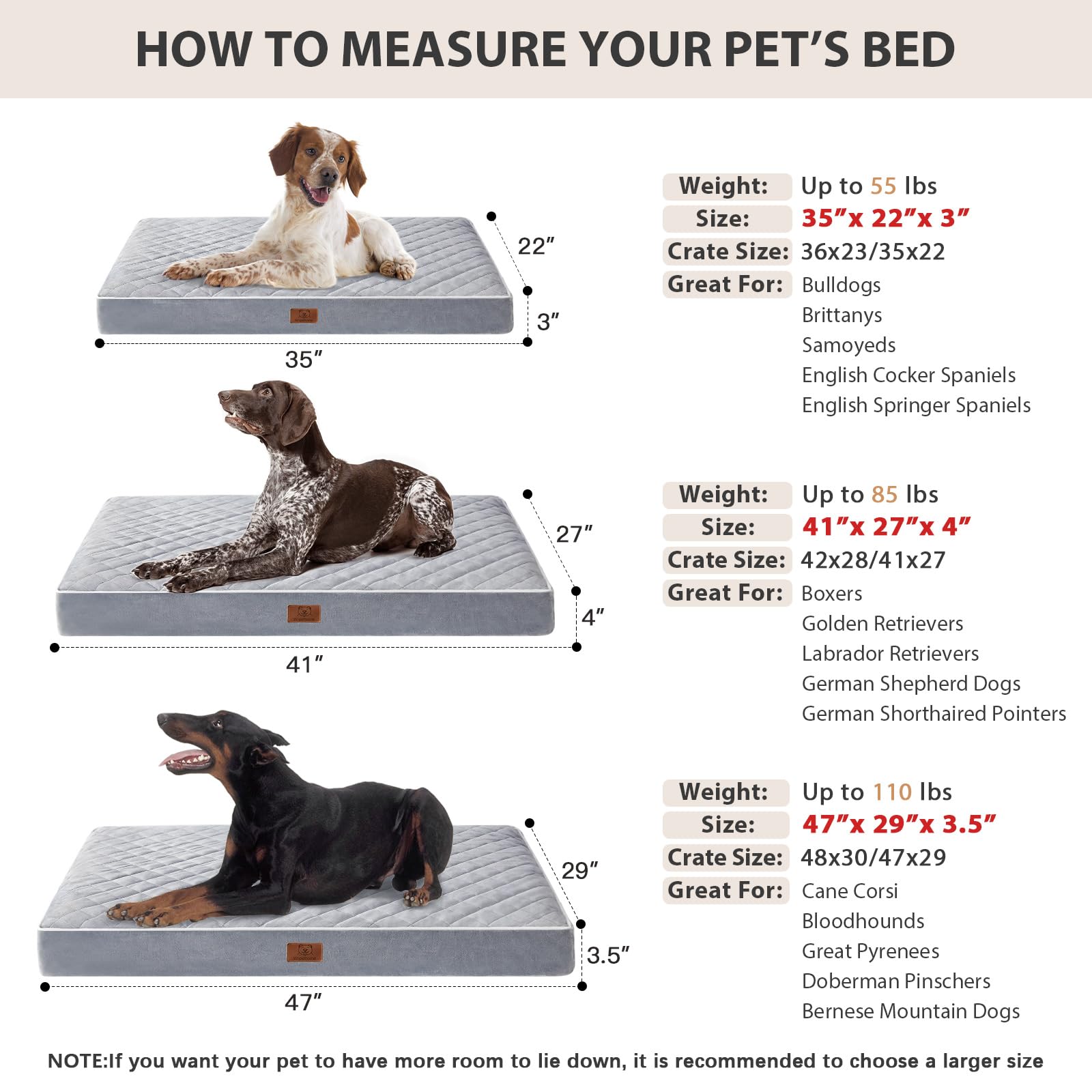 WNPETHOME ships vacuum-sealed and expands quickly after opening for fast setup.