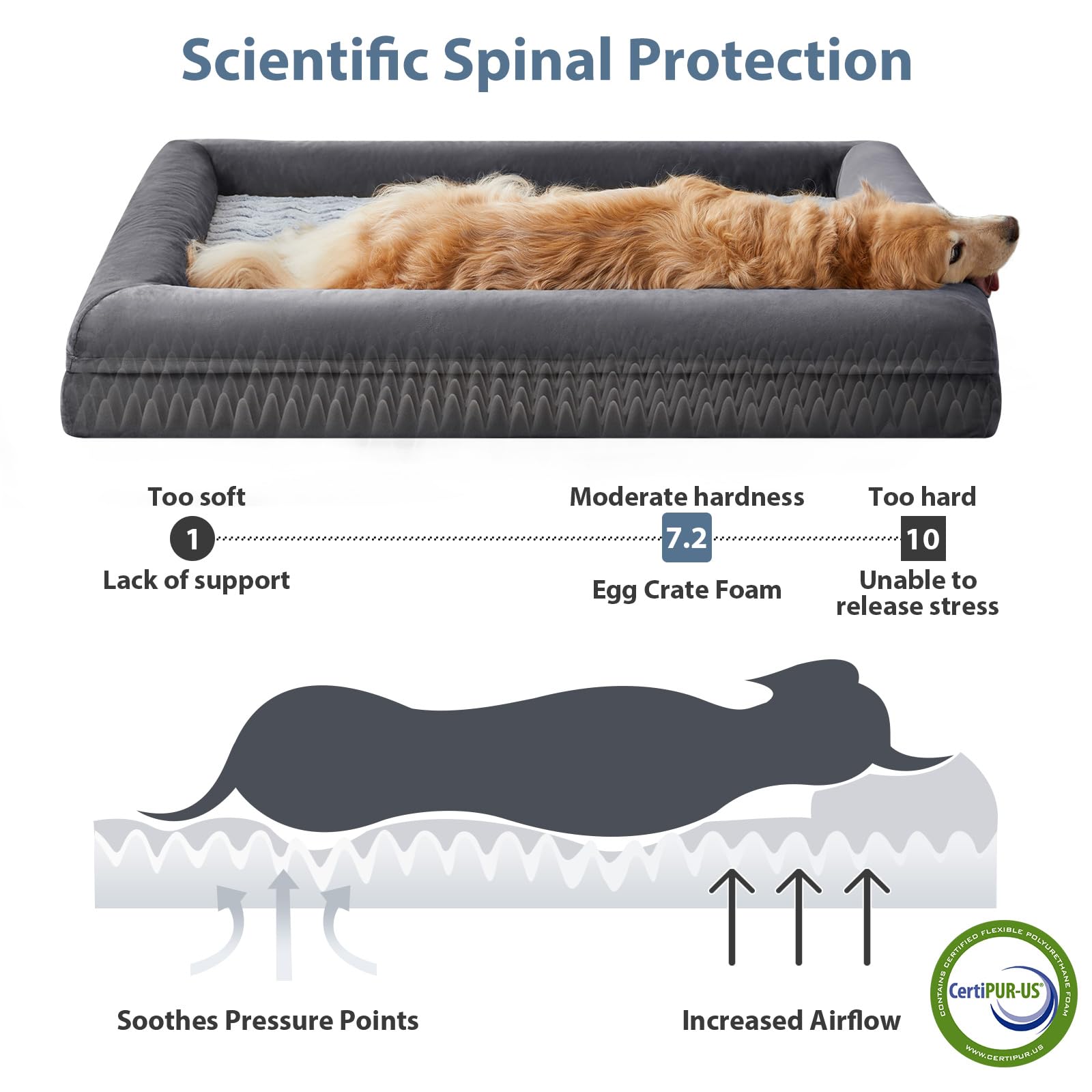 WNPETHOME XL waterproof bottom protects foam from spills and accidents
