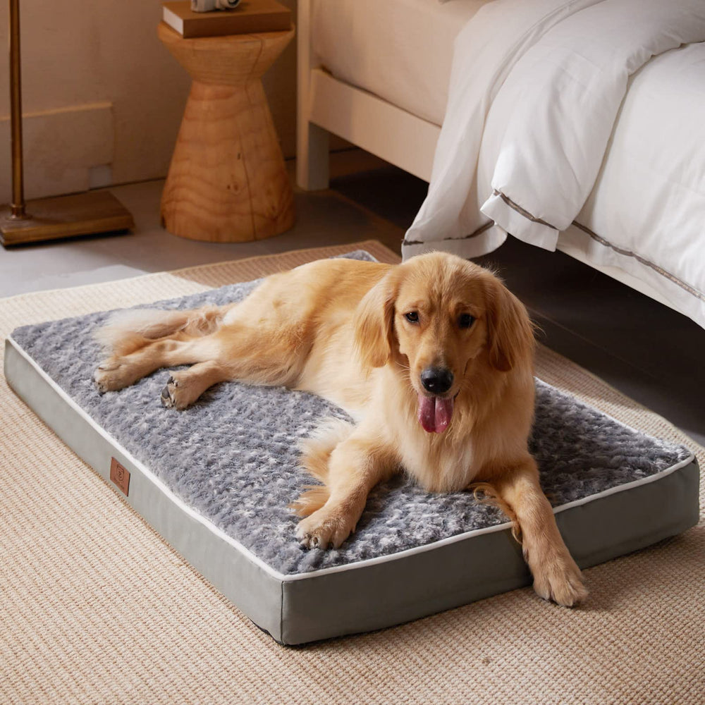 WNPETHOME vacuum-packed arrival image previews compact delivery and quick rebound