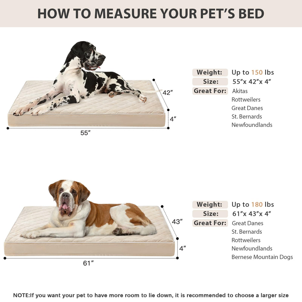 WNPETHOME 55x42x4-inch bed dimensions supporting large dogs