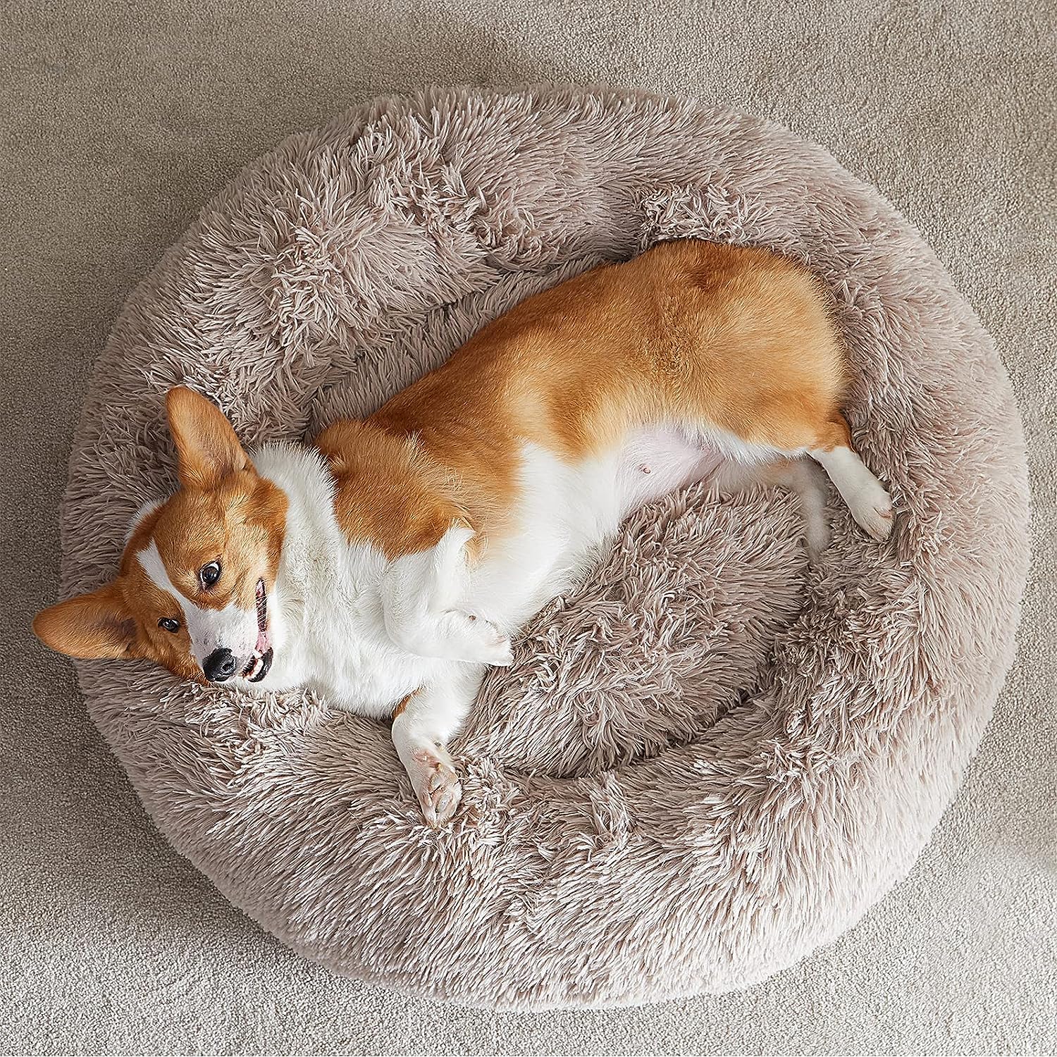 WNPETHOME Calming Dog Bed machine-washable cover demo shows easy care