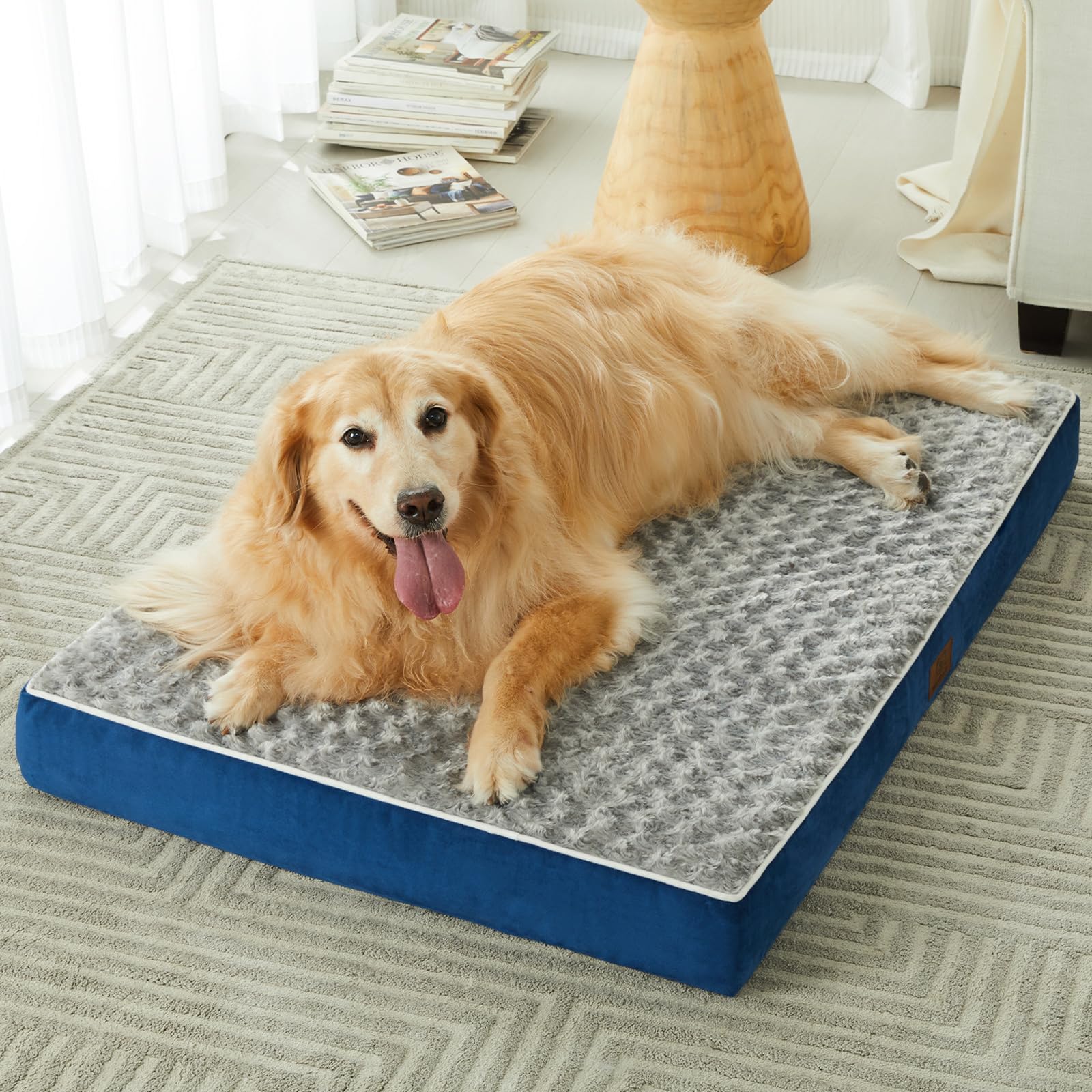 WNPETHOME easy-clean design featuring quick cover removal and washing