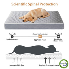 WNPETHOME orthopedic foam bed distributes weight evenly for supported lounging.