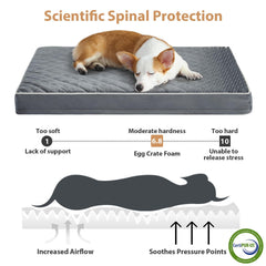 WNPETHOME giant bed with washable cover for easy cleaning