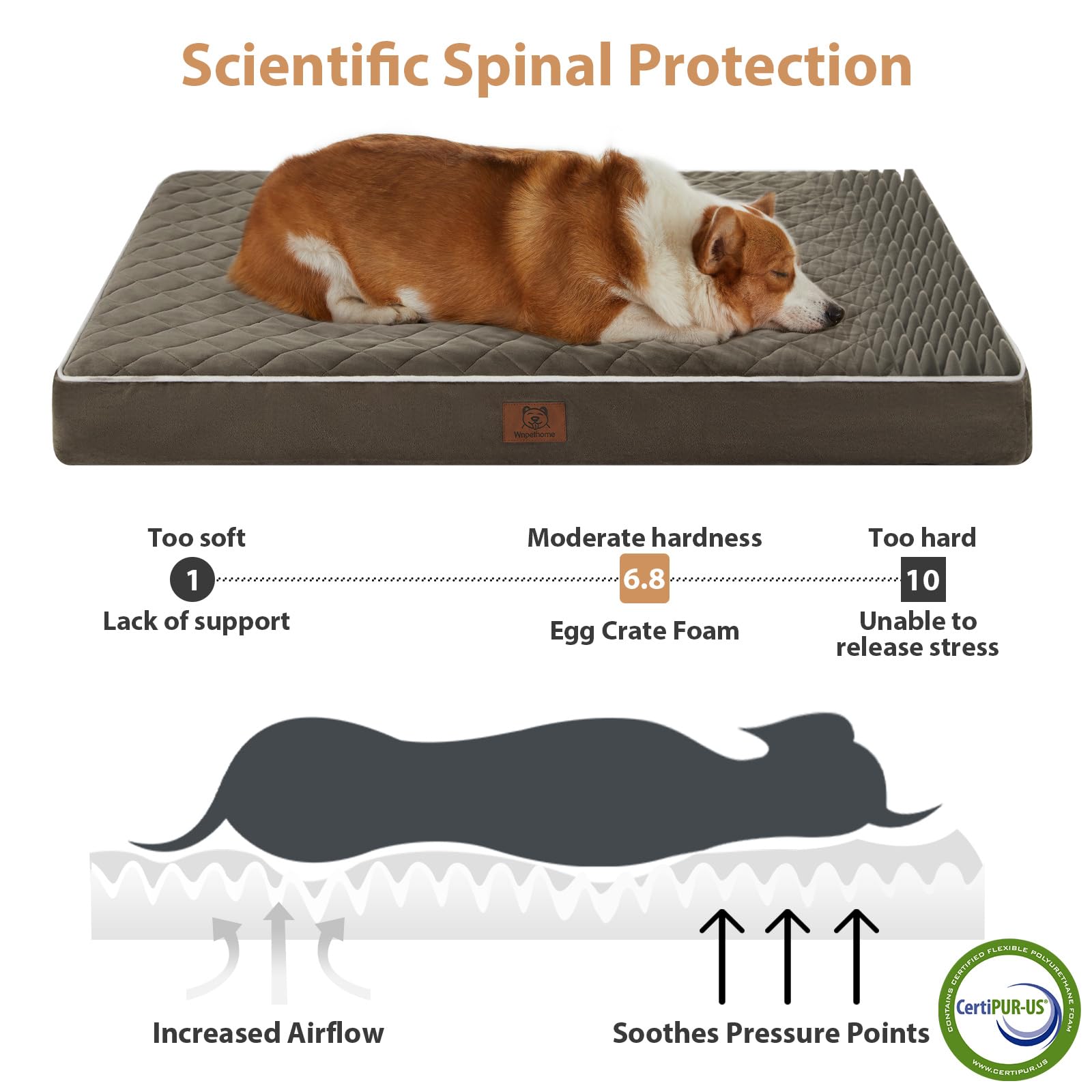 WNPETHOME high density egg crate foam distributes weight for comfort