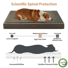 WNPETHOME high-density egg crate foam detail highlights targeted support and even weight distribution.