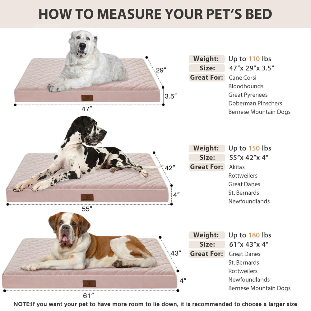 WNPETHOME 61x43x4 inch bed suits large and XL breeds comfortably.