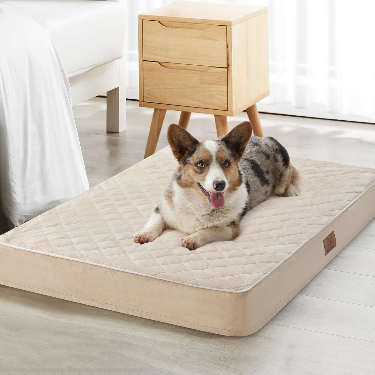 WNPETHOME orthopedic big dog bed front view shows ample support