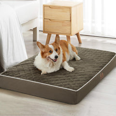 WNPETHOME orthopedic dog bed with velvet surface delivers cozy warmth.