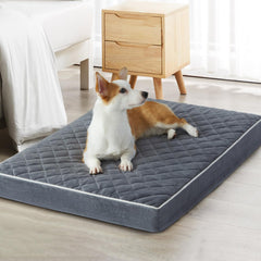 WNPETHOME orthopedic dog bed velvet surface offers warmth and cozy comfort.
