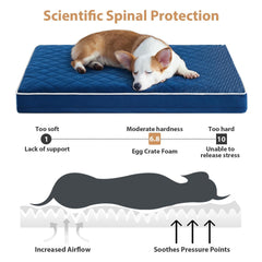 WNPETHOME orthopedic egg crate foam provides pressure relief and support