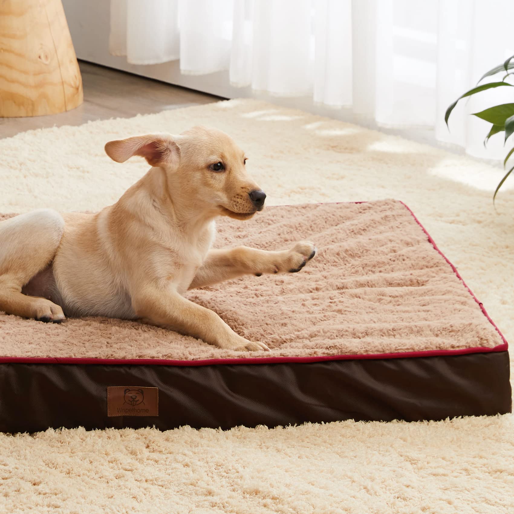 WNPETHOME large dog bed in crate setting ideal for crate naps.