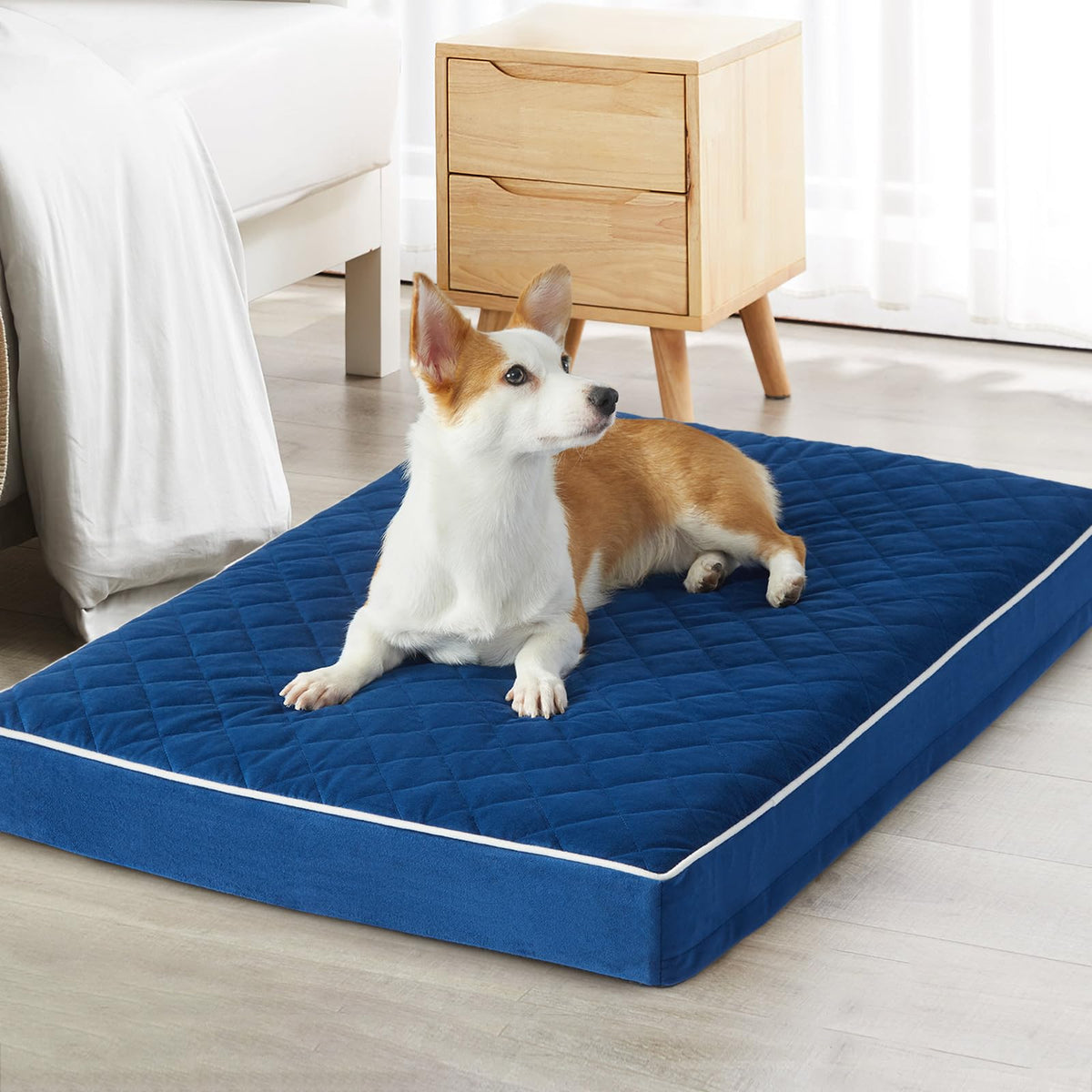 WNPETHOME orthopedic XL bed velvet surface close-up showing plush comfort for joints