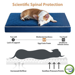 WNPETHOME orthopedic XL bed detachable washable cover with easy zip