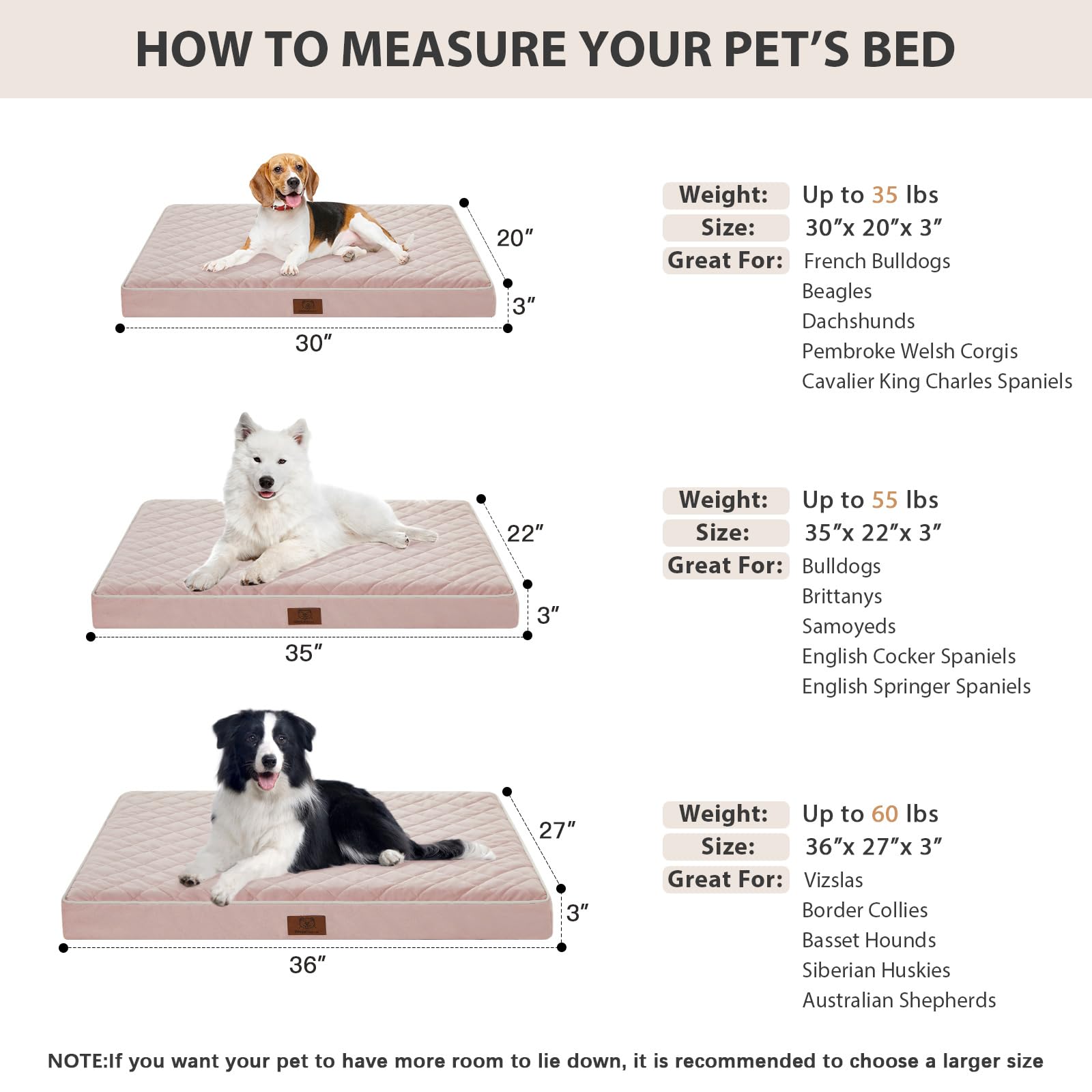 WNPETHOME orthopedic XL dog bed in a cozy living room setting for size and comfort.