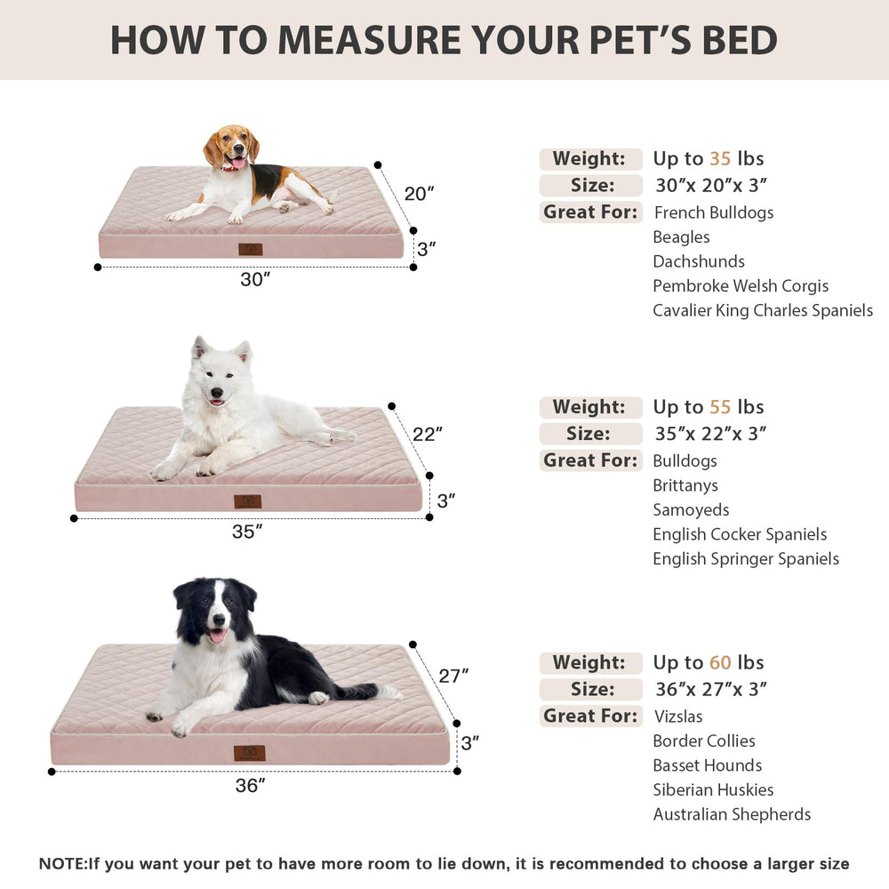 WNPETHOME orthopedic XL dog bed in a cozy living room setting for size and comfort.