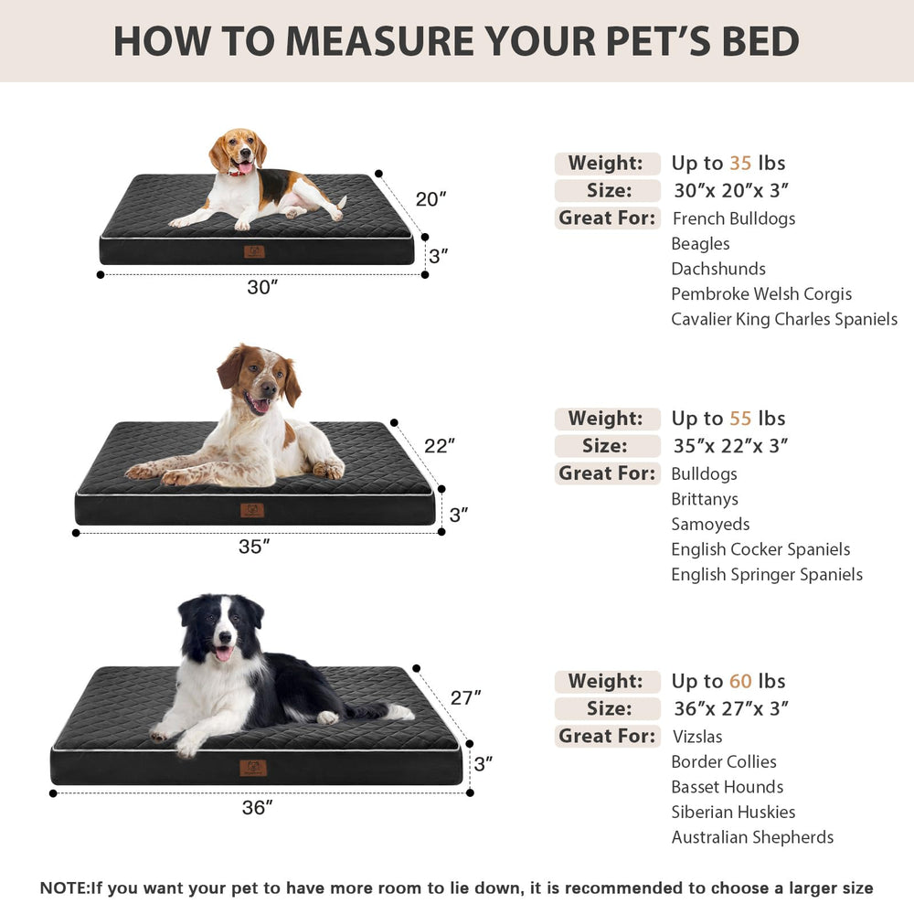 WNPETHOME vacuum-sealed packaging close-up reveals quick expansion